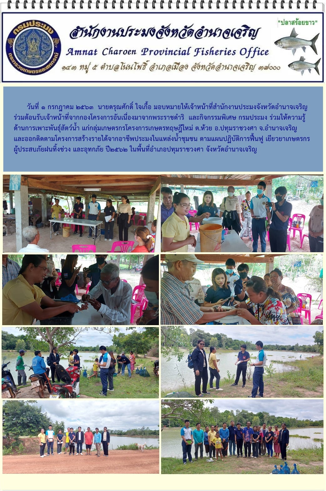 สำนักงานประมงจังหวัดอำนาจเจริญ ร่วมต้อนรับเจ้าหน้าที่จากกองโครงการอันเนื่องมาจากพระราชดำริ และกิจกรรมพิเศษ กรมประมง ร่วมให้ความรู้ด้านการเพาะพันธุ์สัตว์น้ำ แก่กลุ่มเกษตรกรโครงการเกษตรทฤษฎีใหม่ ต.ห้วย อ.ปทุมราชวงศา จ.อำนาจเจริญ และออกติดตามโครงการสร้างรายได้จากอาชีพประมงในแหล่งน้ำชุมชน ตามแผนปฏิบัติการฟื้นฟู เยียวยาเกษตรกรผู้ประสบภัยฝนทิ้งช่วง และอุทกภัย ปี2562 ในพื้นที่อำเภอปทุมราชวงศา จังหวัดอำนาจเจริญ..คลิก
