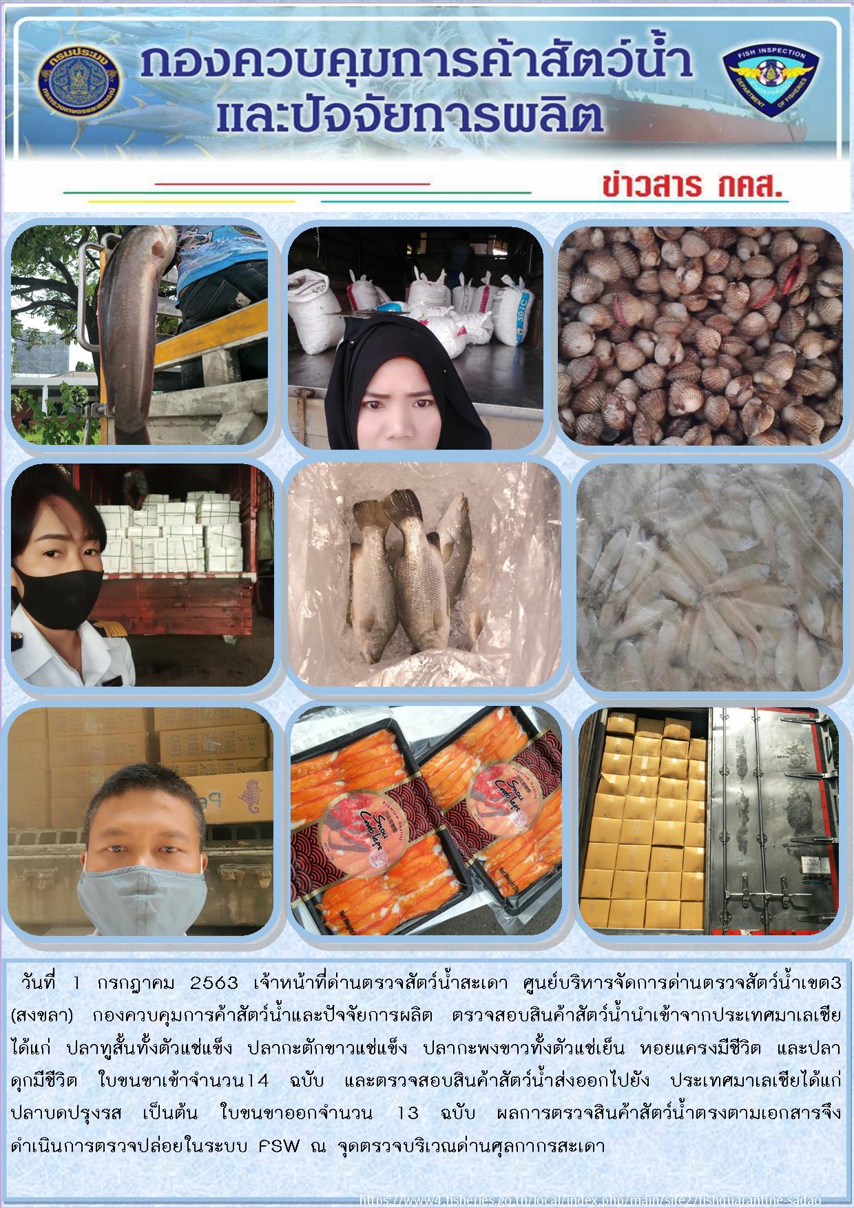 ข่าวสารประชาสัมพันธ์ด่านตรวจสัตว์น้ำสะเดา ประจำวันพุธที่ 1 กรกฎาคม 2563..คลิก