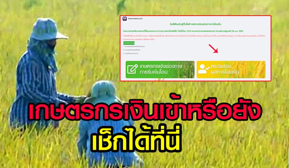 ขอให้เกษตรกรดำเนินการแจ้งเลขบัญชีกับ ธกส.เพื่อขอรับสิทธิ์การเยียวยา..คลิก