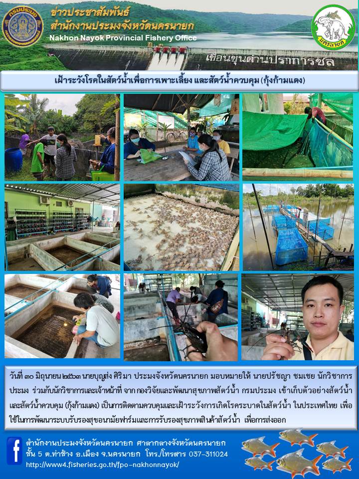 เฝ้าระวังโรคสัตว์น้ำเพื่อการเพาะเลี้ยง และสัตว์น้ำควบคุม (กุ้งก้ามแดง)..คลิก