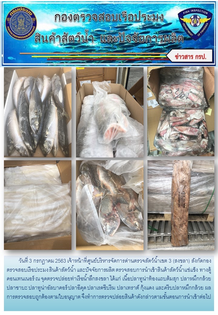 เจ้าหน้าที่ศูนย์บริหารจัดการด่านตรวจสัตว์น้ำเขต 3 (สงขลา) สังกัดกองตรวจสอบเรือประมง สินค้าสัตว์น้ำ และปัจจัยการผลิต ตรวจสอบการนำเข้าสินค้าสัตว์น้ำประเภทตู้คอนเทนเนอร์ ณ จุดตรวจปล่อยท่าเรือน้ำลึกสงขลา..คลิก