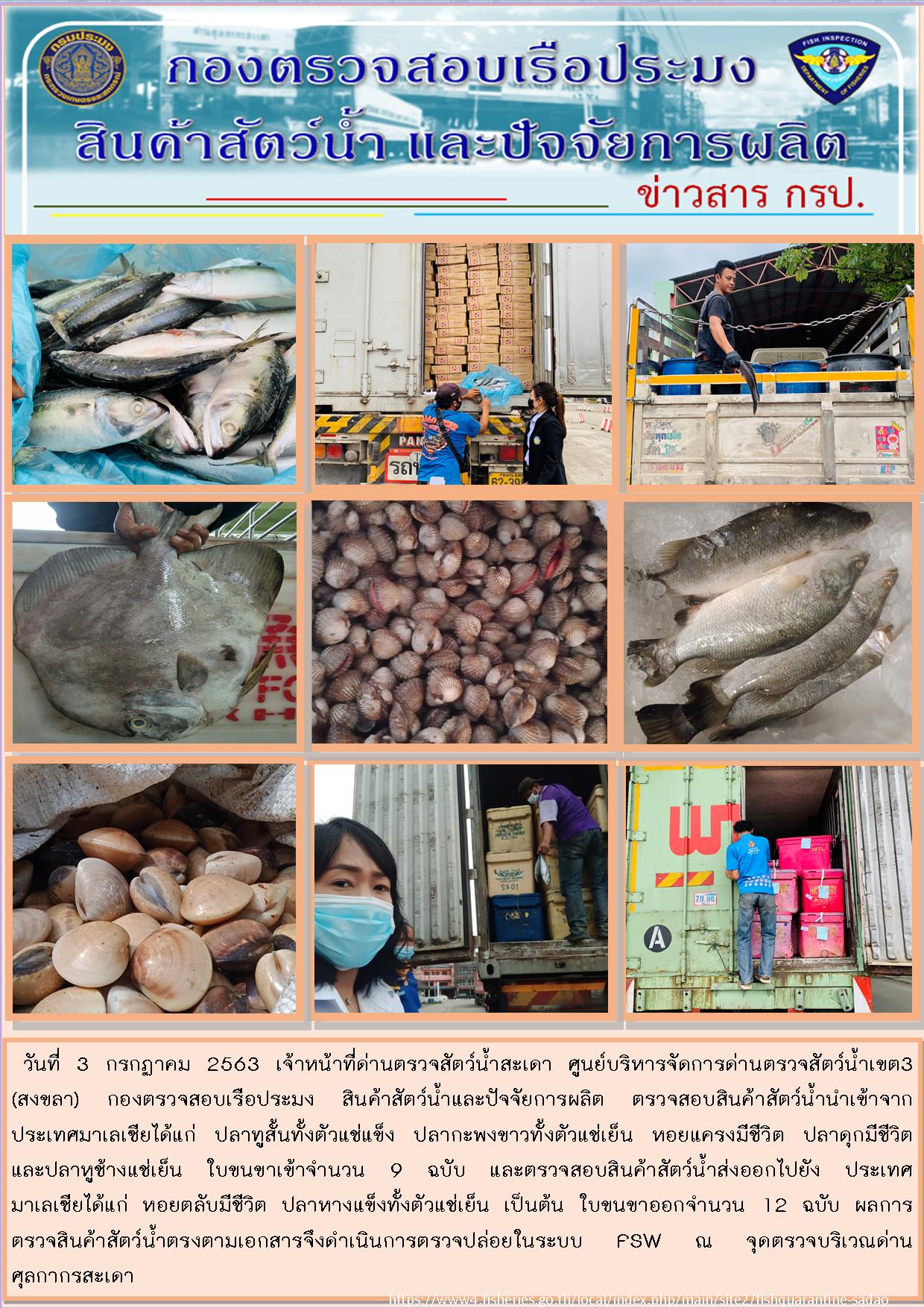 ข่าวประชาสัมพันธ์ด่านตรวจสัตว์น้ำสะเดา ประจำวันศุกร์ที่ 3 กรกฎาคม 2563..คลิก