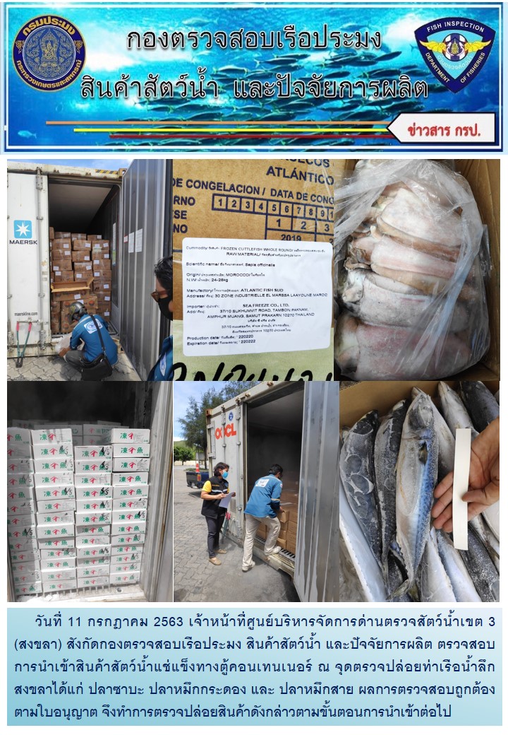 เจ้าหน้าที่ศูนย์บริหารจัดการด่านตรวจสัตว์น้ำเขต 3 (สงขลา) สังกัดกองตรวจสอบเรือประมง สินค้าสัตว์น้ำ และปัจจัยการผลิต ตรวจสอบการนำเข้าสินค้าสัตว์น้ำแช่แข็งทางตู้คอนเทนเนอร์ ณ จุดตรวจปล่อยท่าเรือน้ำลึกสงขลา..คลิก