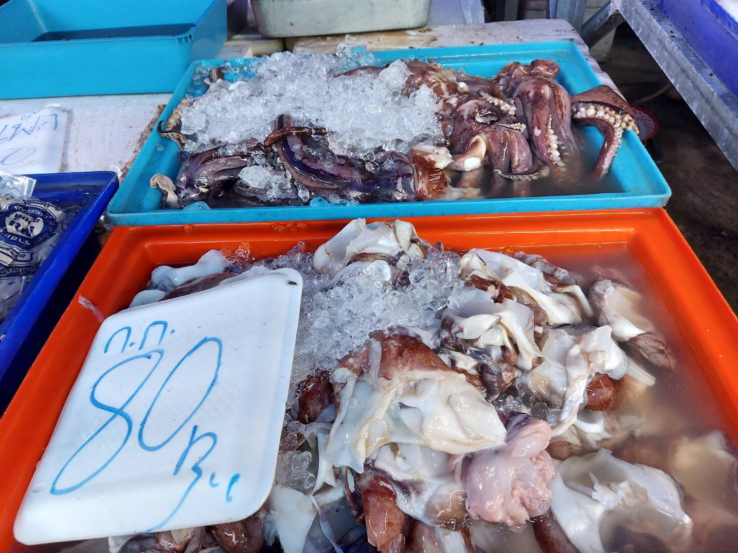 ประมงอำเภอสิรินธร ลงพื้นที่สำรวจสินค้าสัตว์น้ำ ที่ตลาดช่องเม็ก อำเภอสิรินธร จ.อุบลราชธานี..คลิก