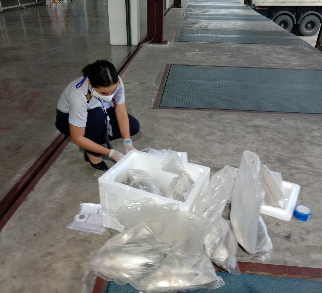 ด่านตรวจสัตว์น้ำปาดังเบซาร์สุ่มเก็บตัวอย่างปลากะพงขาวนำเข้าจากประเทศมาเลเซีย..คลิก