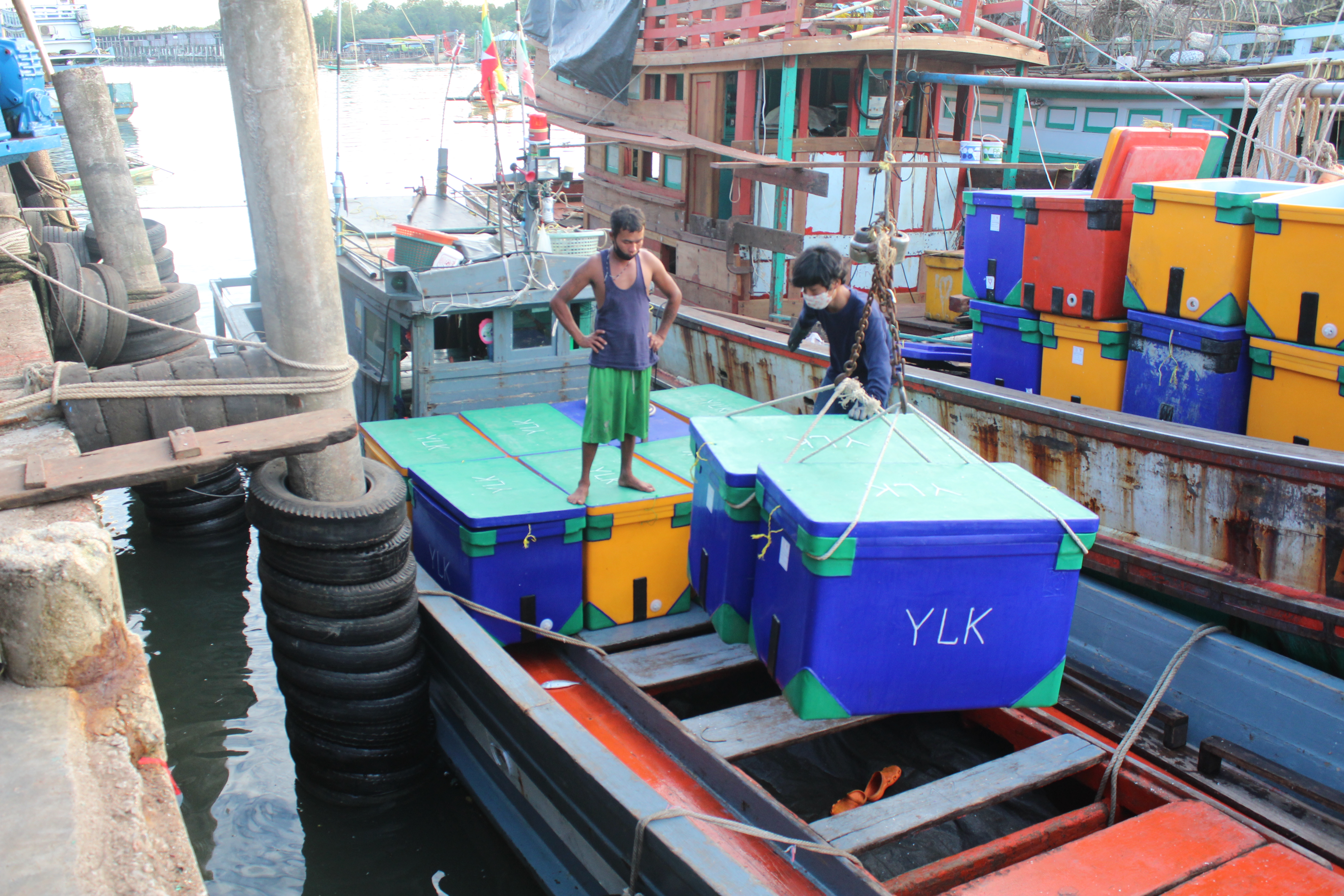 ควบคุมขนถ่ายสัตว์น้ำขึ้นท่าจากประเทศMYANMAR..คลิก