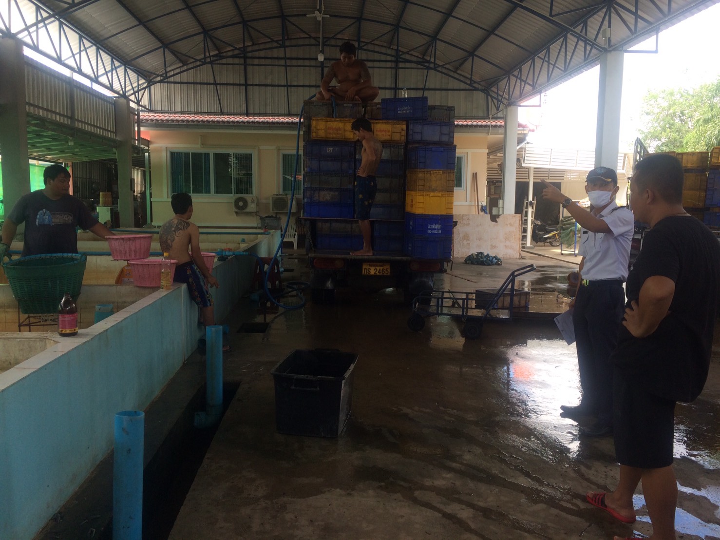 ตรวจสอบลูกพันธุ์สัตว์น้ำ ส่งออกไปยัง สปป.ลาว..คลิก