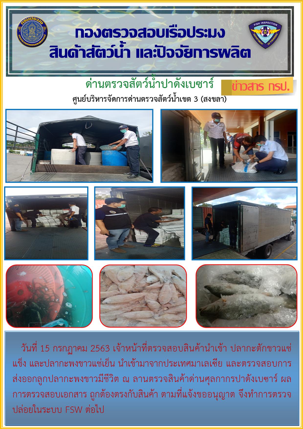 ด่านตรวจสัตว์น้ำปาดังเบซาร์ตรวจสอบสัตว์น้ำนำเข้า-ส่งออก..คลิก