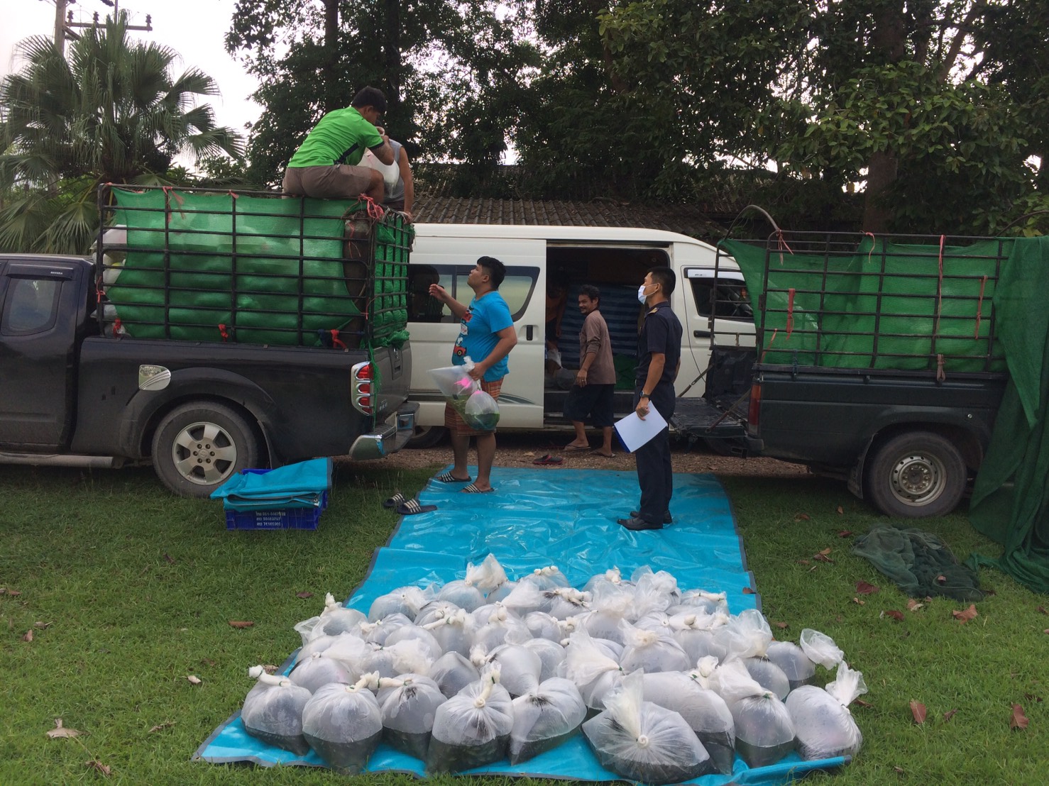 ตรวจสอบลูกพันธุ์สัตว์น้ำ ส่งออกไปยัง สปป.ลาว..คลิก