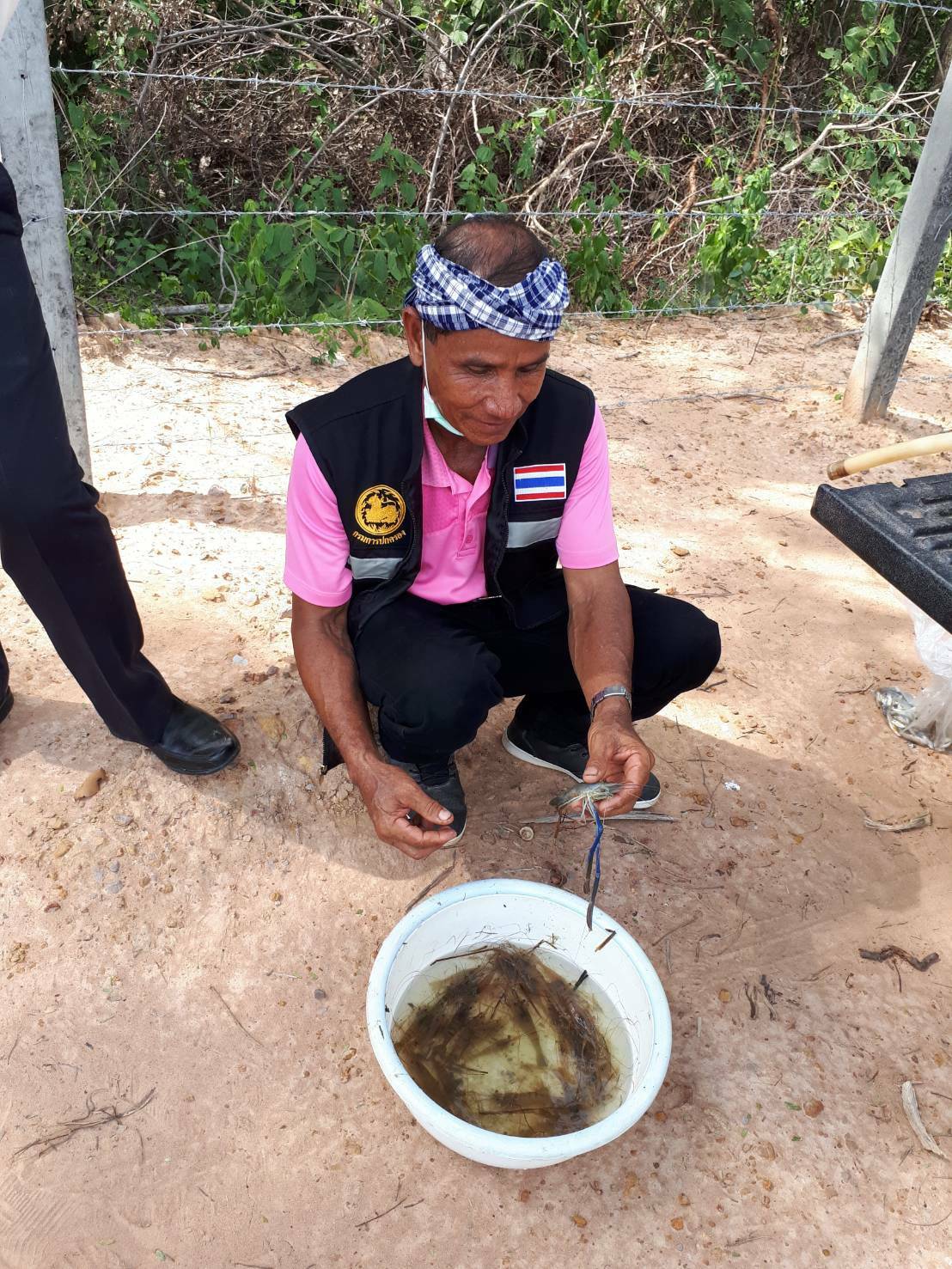 ประมงอำเภอพิบูลมังสาหาร ร่วมกับศูนย์วิจัยและพัฒนาการประมงน้ำจืด และคณะกรรมการแหล่วน้ำโรงเรียนเพียงหิน บ้านอ่างศิลา ต.อ่างศิลา อ.พิบูลมังสาหาร จ.อุบลราชธานี..คลิก