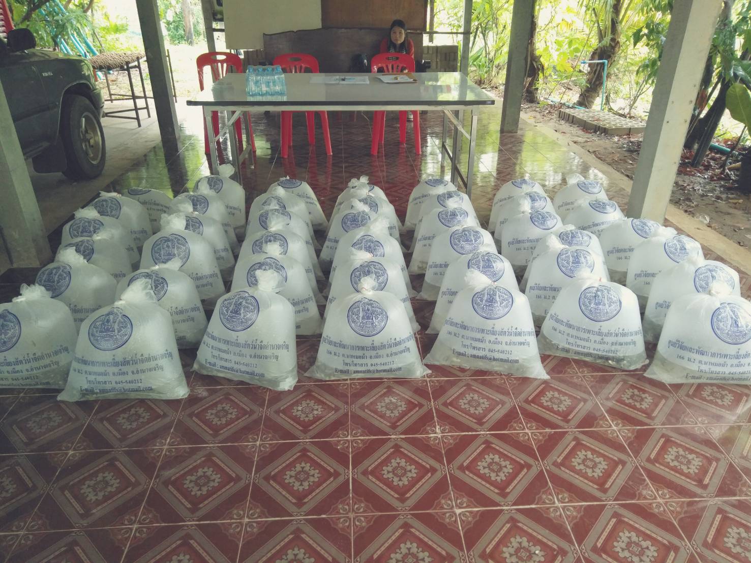 มอบพันธุ์ปลาให้กับเกษตรกรที่เข้าร่วมโครงการระบบส่งเสริมเกษตรแบบแปลงใหญ่ จำนวน 7 ราย