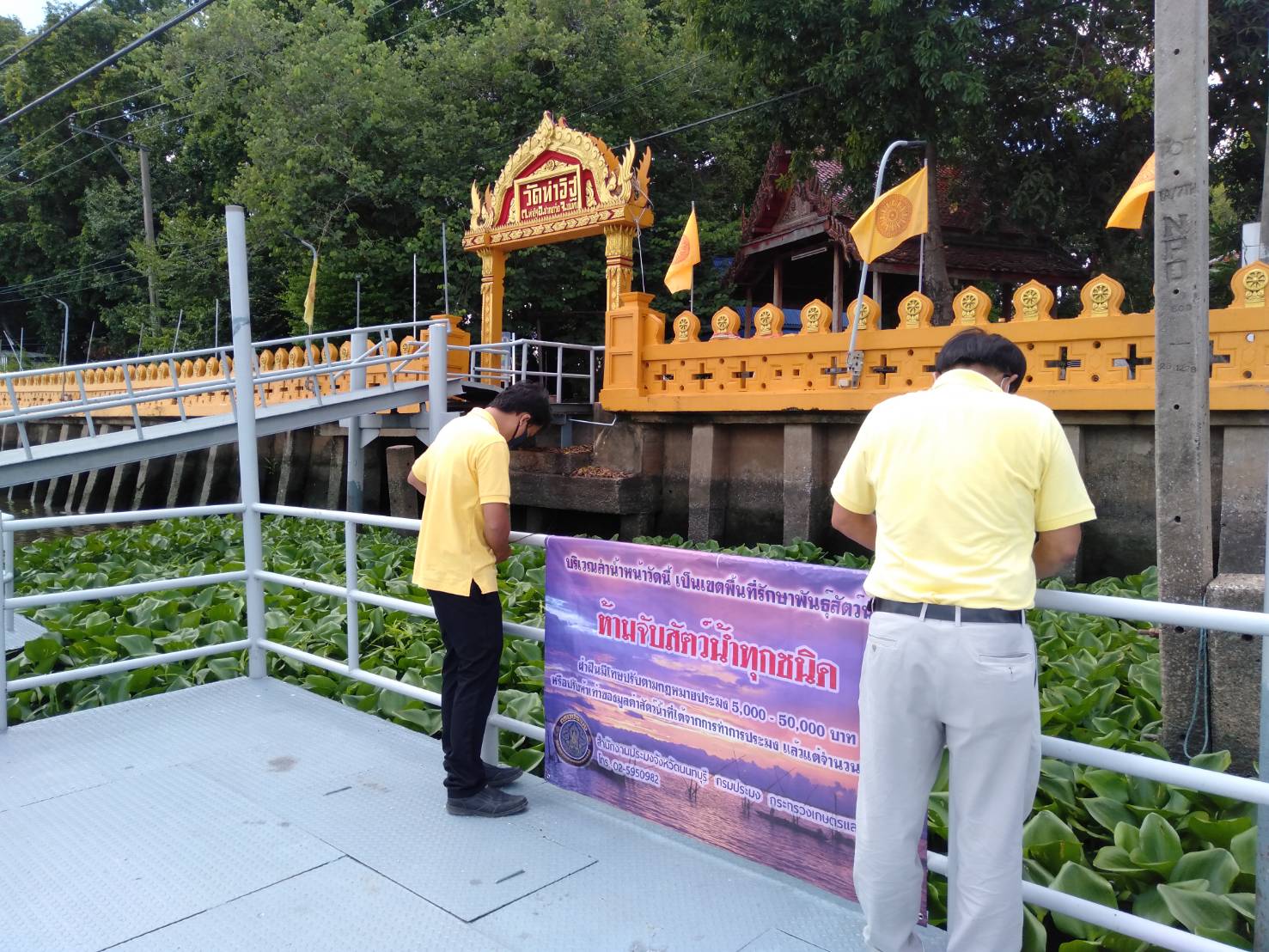 (อ.ปากเกร็ด & อ.บางใหญ่) ประชาสัมพันธ์เขตที่รักษาพืชพันธุ์สัตว์น้ำ & ตรวจสอบการทำการประมงที่ผิดกฎหมาย..คลิก
