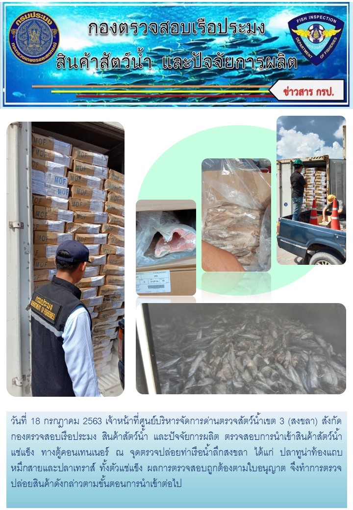 เจ้าหน้าที่ศูนย์บริหารจัดการด่านตรวจสัตว์น้ำเขต 3 (สงขลา) สังกัดกองตรวจสอบเรือประมง สินค้าสัตว์น้ำ และปัจจัยการผลิต ตรวจสอบการนำเข้าสินค้าสัตว์น้ำประเภทตู้คอนเทนเนอร์ ณ จุดตรวจปล่อยท่าเรือน้ำลึกสงขลา..คลิก