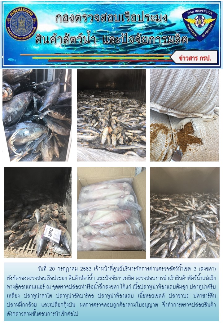 เจ้าหน้าที่ศูนย์บริหารจัดการด่านตรวจสัตว์น้ำเขต 3 (สงขลา) สังกัดกองตรวจสอบเรือประมง สินค้าสัตว์น้ำ และปัจจัยการผลิต ตรวจสอบการนำเข้าสินค้าสัตว์น้ำประเภทตู้คอนเทนเนอร์ ณ จุดตรวจปล่อยท่าเรือน้ำลึกสงขลา..คลิก