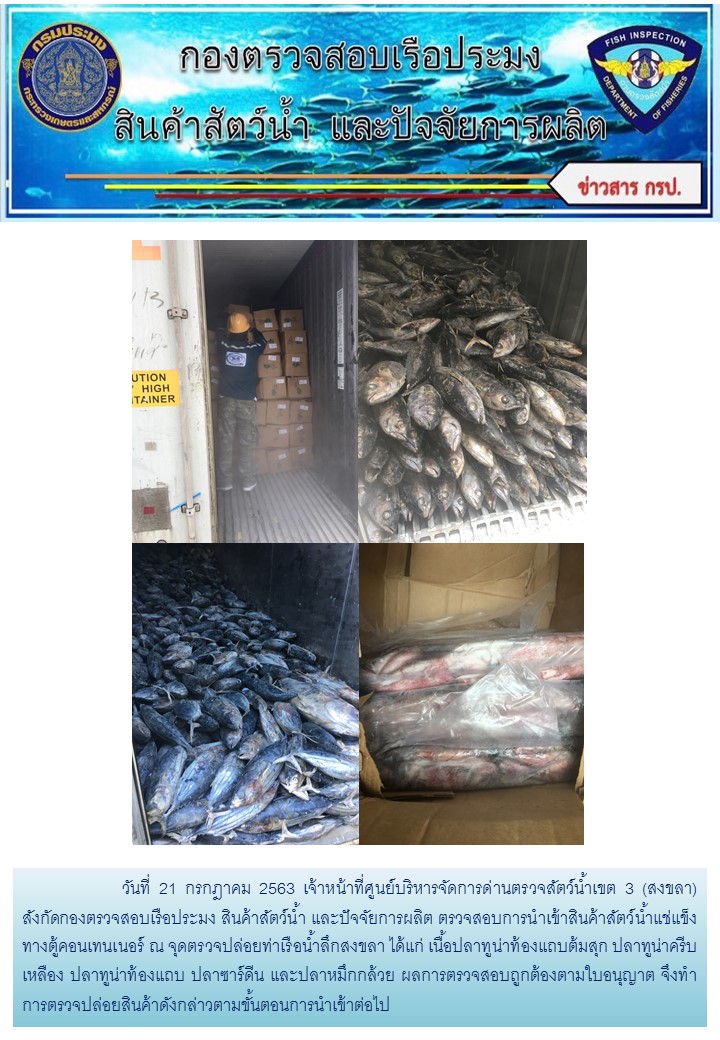 เจ้าหน้าที่ศูนย์บริหารจัดการด่านตรวจสัตว์น้ำเขต 3 (สงขลา) สังกัดกองตรวจสอบเรือประมง สินค้าสัตว์น้ำ และปัจจัยการผลิต ตรวจสอบการนำเข้าสินค้าสัตว์น้ำประเภทตู้คอนเทนเนอร์ ณ จุดตรวจปล่อยท่าเรือน้ำลึกสงขลา..คลิก