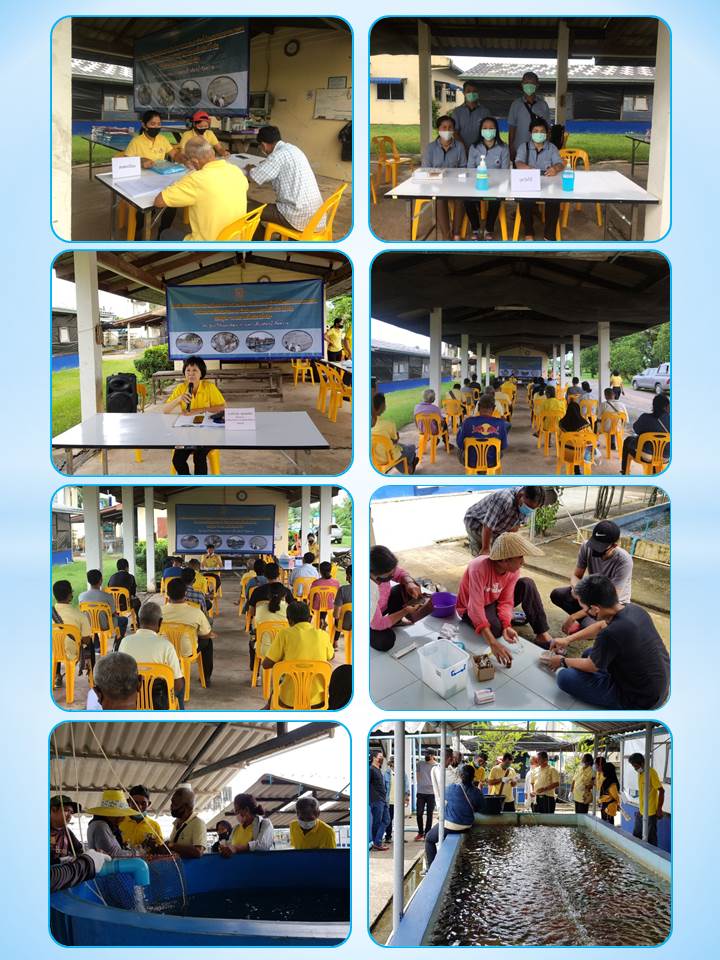 การฝึกอบรมโครงการส่งเสริมและสร้างทักษะในการประกอบอาชีพทั้งในและนอกภาคเกษตร..คลิก