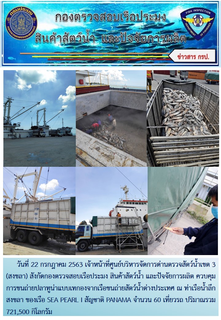 เจ้าหน้าที่ศูนย์บริหารจัดการด่านตรวจสัตว์น้ำเขต 3 (สงขลา) สังกัดกองตรวจสอบเรือประมง สินค้าสัตว์น้ำ และปัจจัยการผลิต ควบคุมการขนถ่ายปลาทูน่าแบบเทกองจากเรือขนถ่ายสัตว์น้ำต่างประเทศ ณ ท่าเรือน้ำลึกสงขลา ของเรือ SEA PEARL I สัญชาติ PANAMA..คลิก