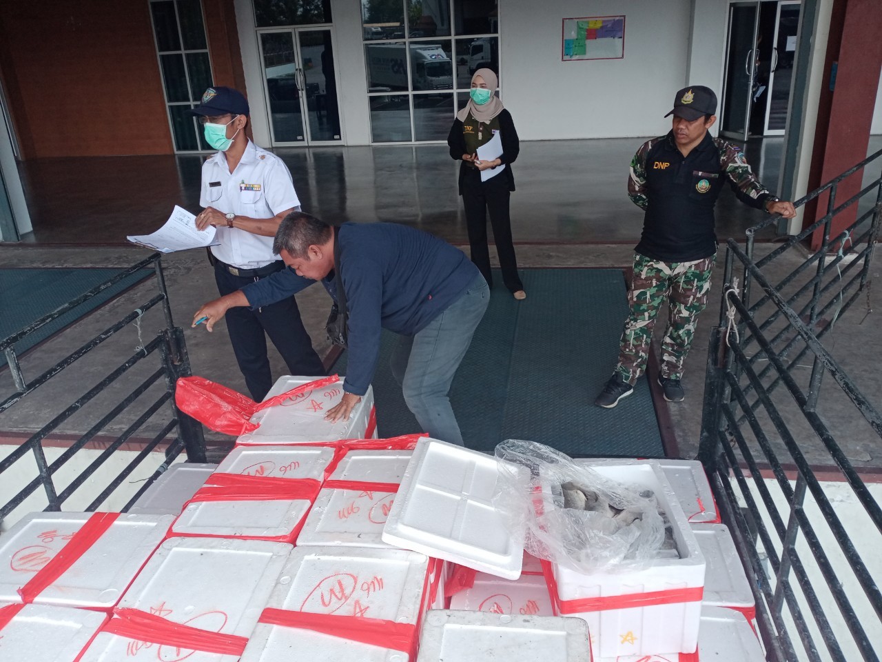 ด่านตรวจสัตว์น้ำปาดังเบซาร์ ตรวจสอบสัตว์น้ำนำเข้า ส่งออกประจำวันที่ 23 กรกฏาคม 2563..คลิก