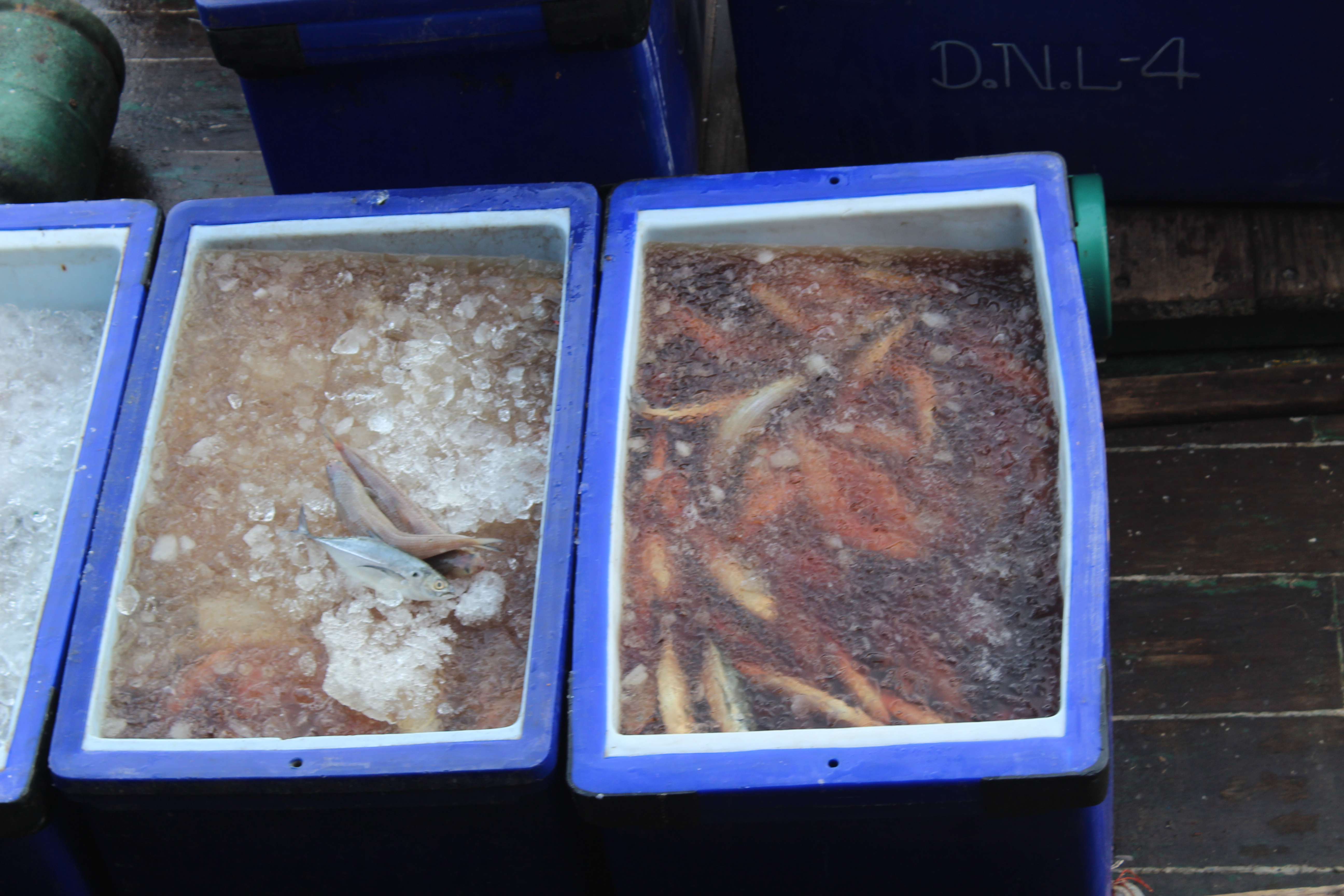 ตรวจสอบเรือและสินค้านำเข้าจากประเทศ MYANMAR..คลิก