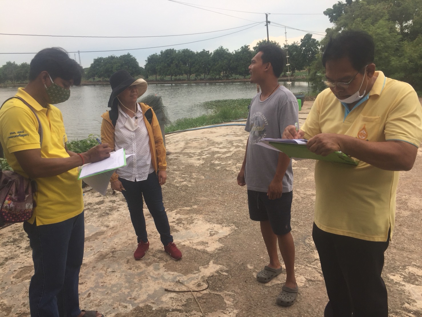 (อ.บางกรวย) ตรวจติดตามมาตรฐานการตรวจสินค้าเกษตร (GAP) โครงการระบบส่งเสริมเกษตรแบบแปลงใหญ่ อ.บางกรวย จ.นนทบุรี..คลิก