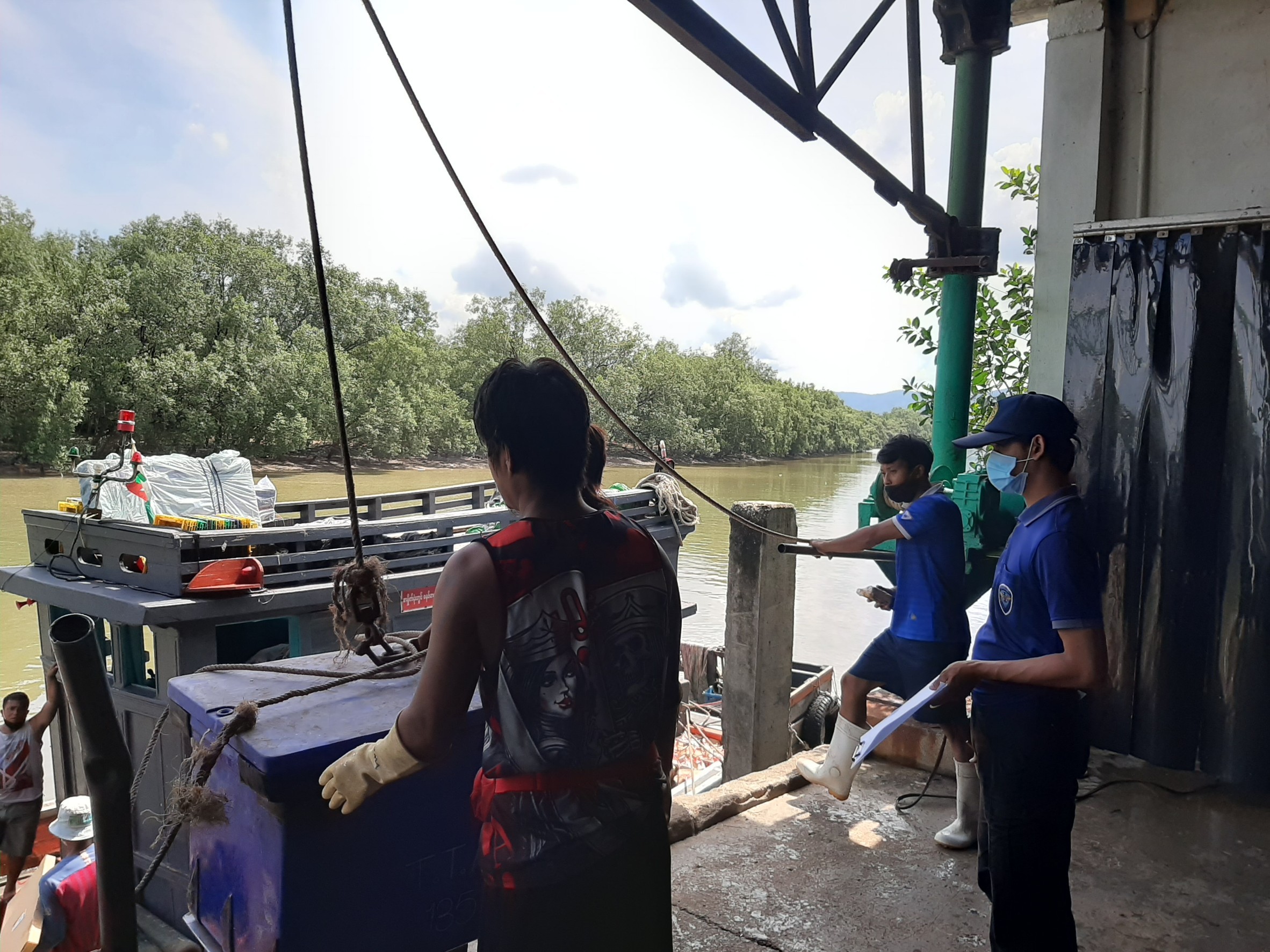 ควบคุมขนถ่ายสัตว์น้ำขึ้นท่าจากประเทศMYANMAR..คลิก