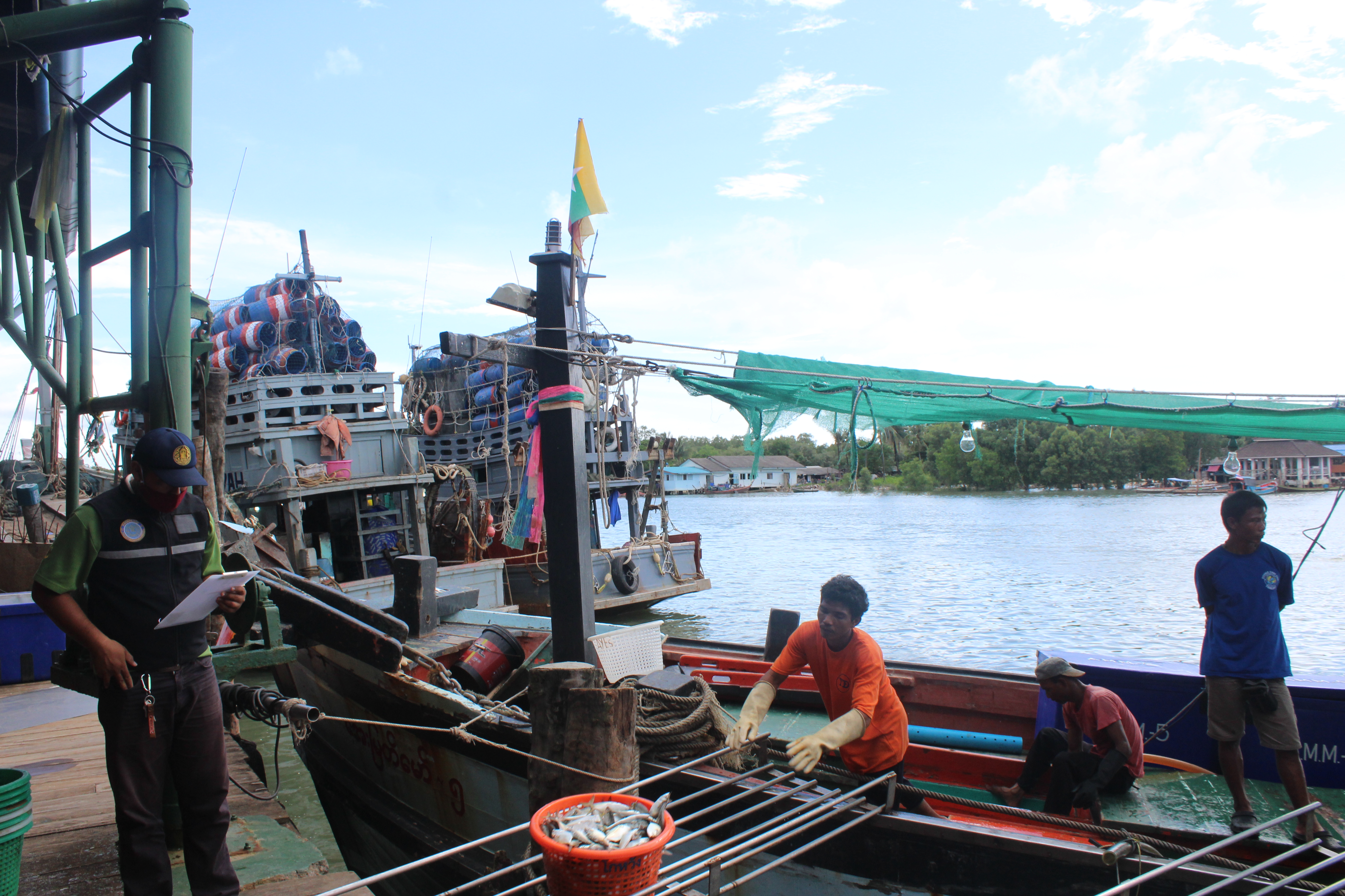 ควบคุมขนถ่ายสัตว์น้ำขึ้นท่าจากประเทศMYANMAR..คลิก