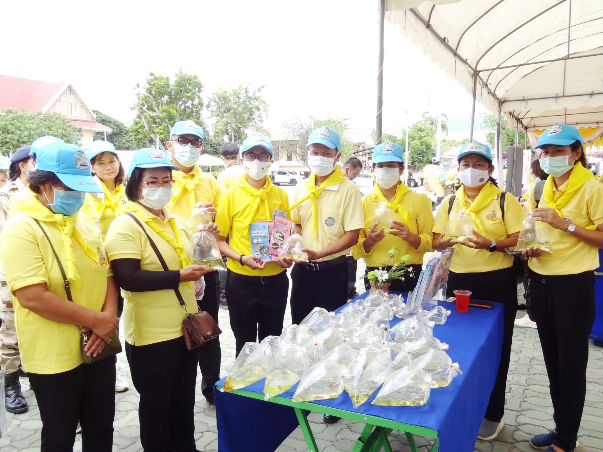 ร่วมกิจกรรมจิตอาสา แจกพันธุ์ปลาสวยงาม..คลิก