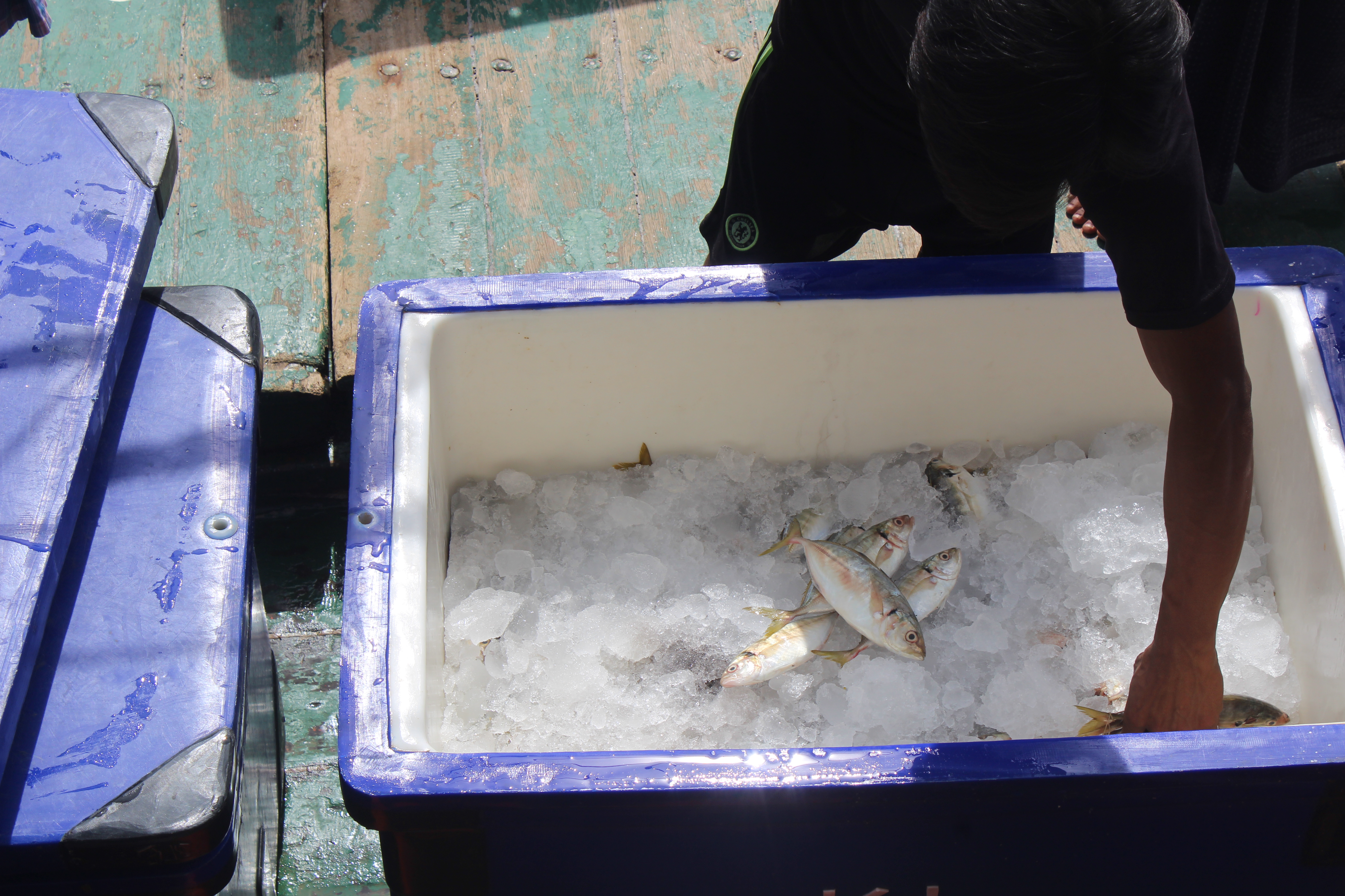 ตรวจสอบเรือและสินค้านำเข้าจากประเทศ MYANMAR..คลิก