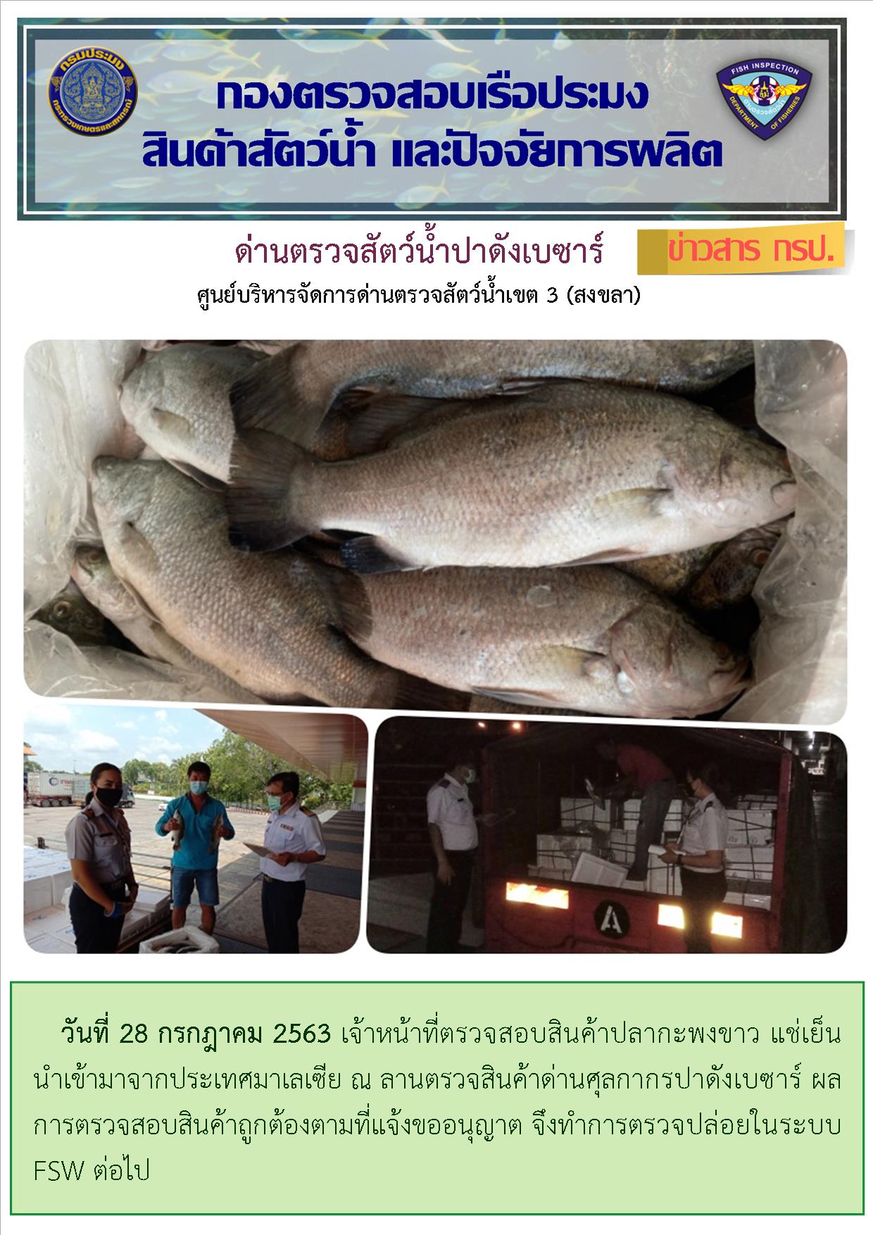 ด่านตรวจสัตว์น้ำปาดังเบซาร์ ตรวจสอบสัตว์น้ำนำเข้า ส่งออก ประจำวันที่ 28 กรกฎาคม 2563..คลิก