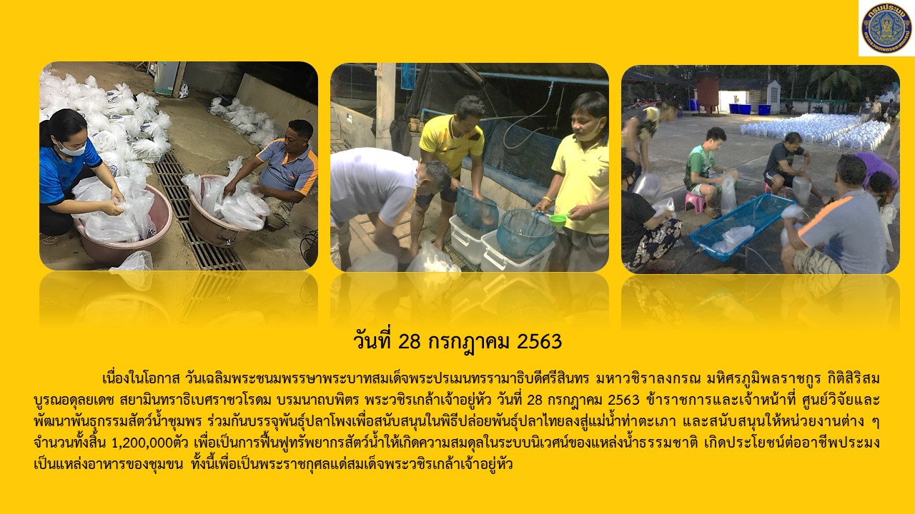 28 กรกฎาคม 2563