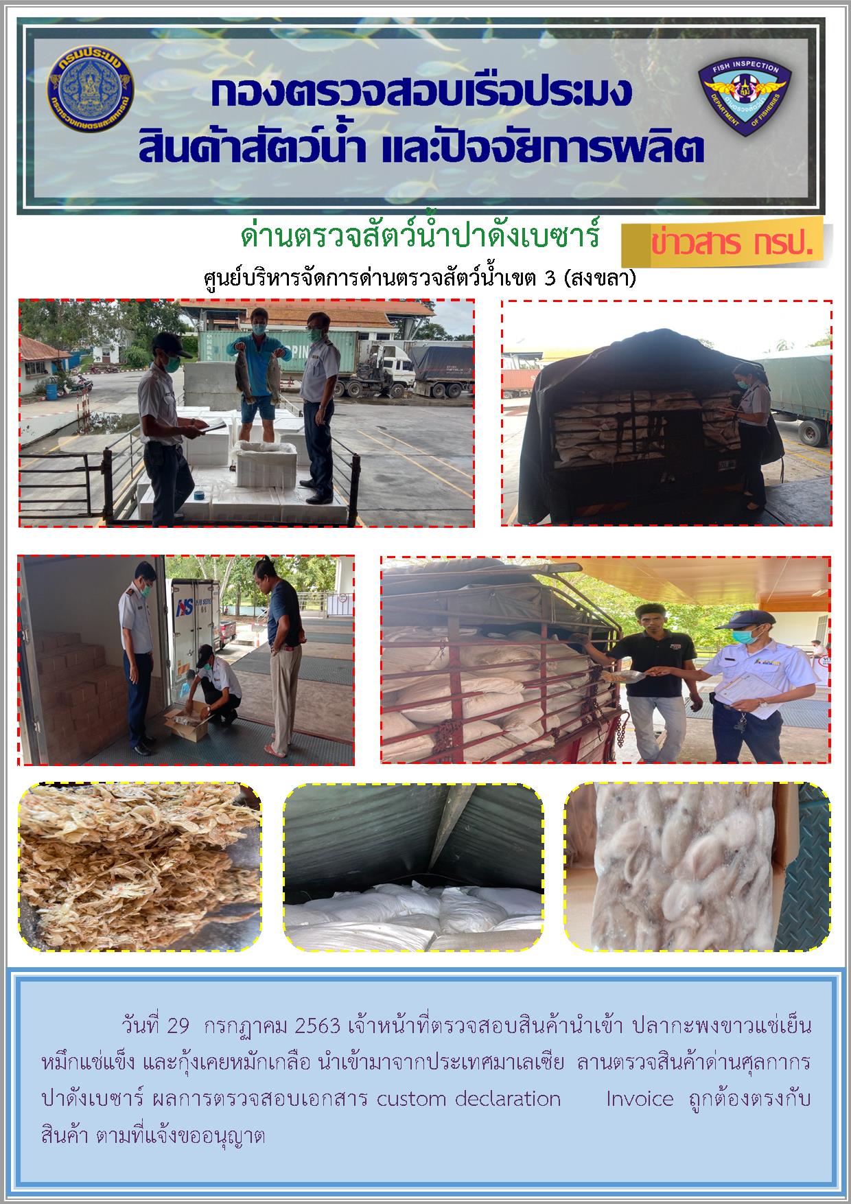 ด่านตรวจสัตว์น้ำปาดังเบซาร์ตรวจสอบสัตว์น้ำนำเข้า..คลิก