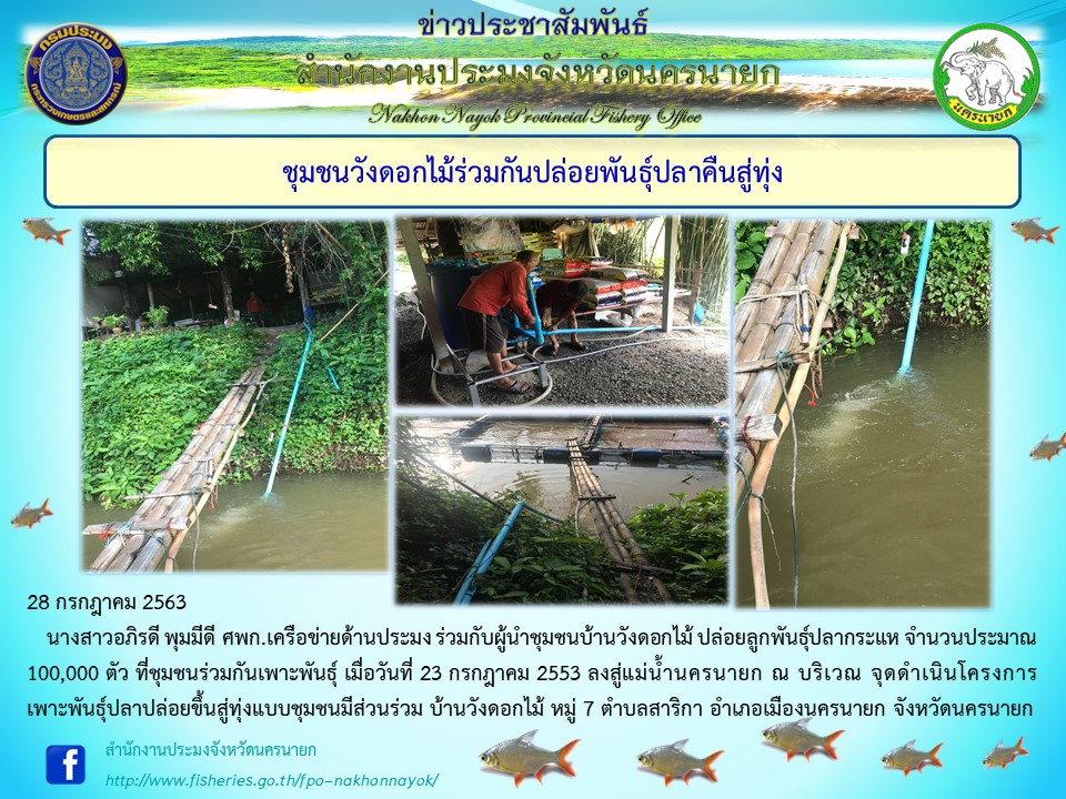 ชุมชนวังดอกไม้ร่วมกันปล่อยพันธุ์ปลาคืนสู่ทุ่ง..คลิก