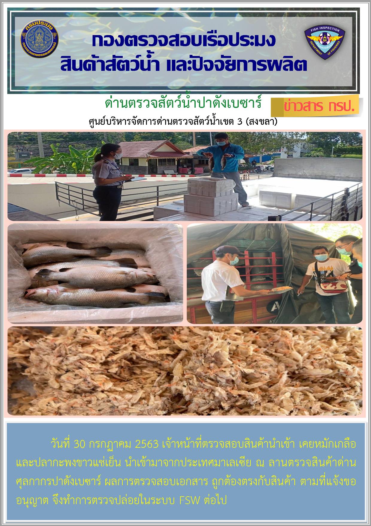 ด่านตรวจสัตว์น้ำปาดังเบซาร์ตรวจสอบสัตว์น้ำนำเข้า..คลิก
