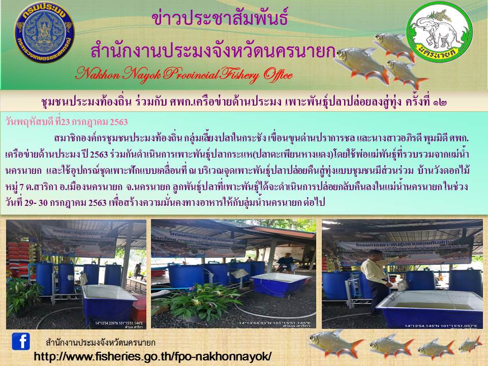 ชุมชนประมงท้องถิ่น ร่วมกับ ศพก.เครือข่ายด้านประมง เพาะพันธุ์ปลาปล่อยลงสู่ทุ่ง ครั้งที่ 12..คลิก