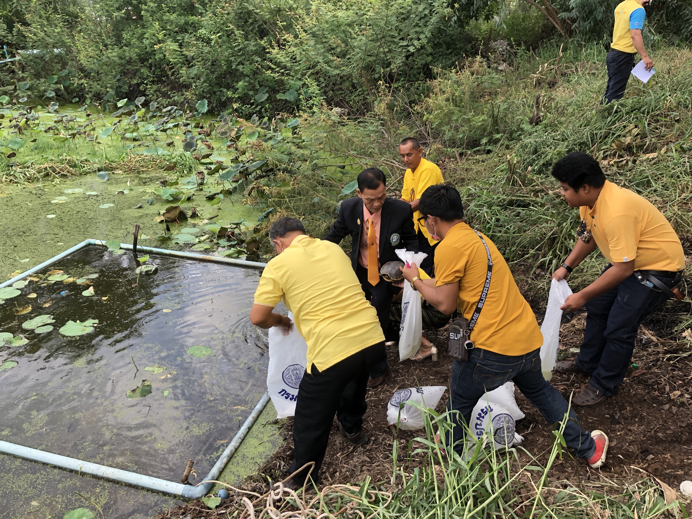 ภาพกิจกรรมปล่อยปลาของ องค์การบริหารส่วนตำบลบางปลากด อำเภอองครักษ์ จังหวัดนครนายก..คลิก
