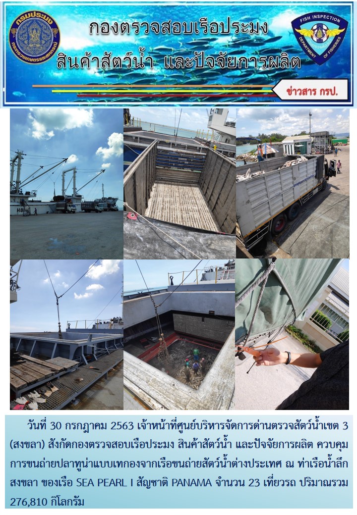 เจ้าหน้าที่ศูนย์บริหารจัดการด่านตรวจสัตว์น้ำเขต 3 (สงขลา) สังกัดกองตรวจสอบเรือประมง สินค้าสัตว์น้ำ และปัจจัยการผลิต ควบคุมการขนถ่ายปลาทูน่าแบบเทกองจากเรือขนถ่ายสัตว์น้ำต่างประเทศ ณ ท่าเรือน้ำลึกสงขลา ของเรือ SEA PEARL I สัญชาติ PANAMA..คลิก