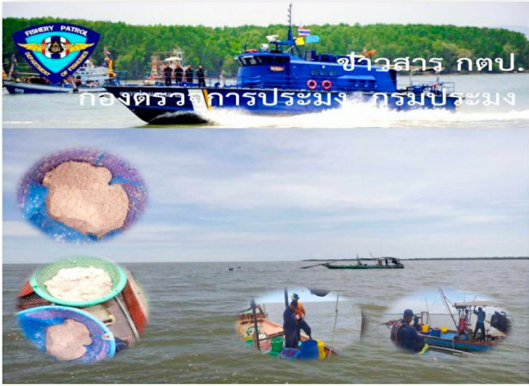 เรือตรวจประมงทะเล 219 ควบคุมเฝ้าระวังการทำประมงพื้นที่ทะเลชายฝั่ง..คลิก