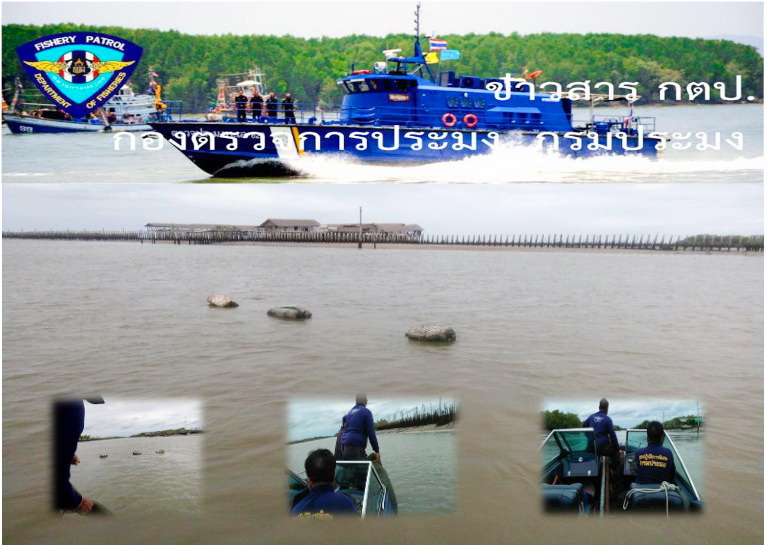 เรือตรวจประมงทะเล 111 ตรวจยึดเครื่องมือโพงพาง จำนวน 1 ปาก..คลิก