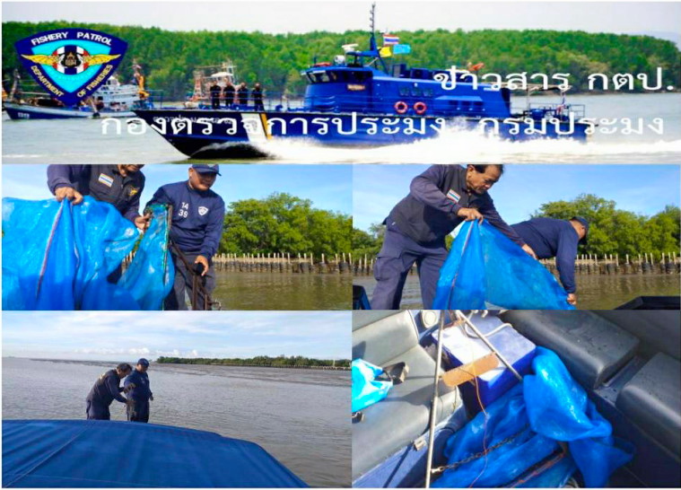 ตรวจยึดเครื่องมือสามเหลี่ยมลากลูกหอย จำนวน 2 อัน บริเวณ ต.แหลมฟ้าผ่า อ.พระสมุทรเจดีย์ จ.สมุทรปราการ..คลิก