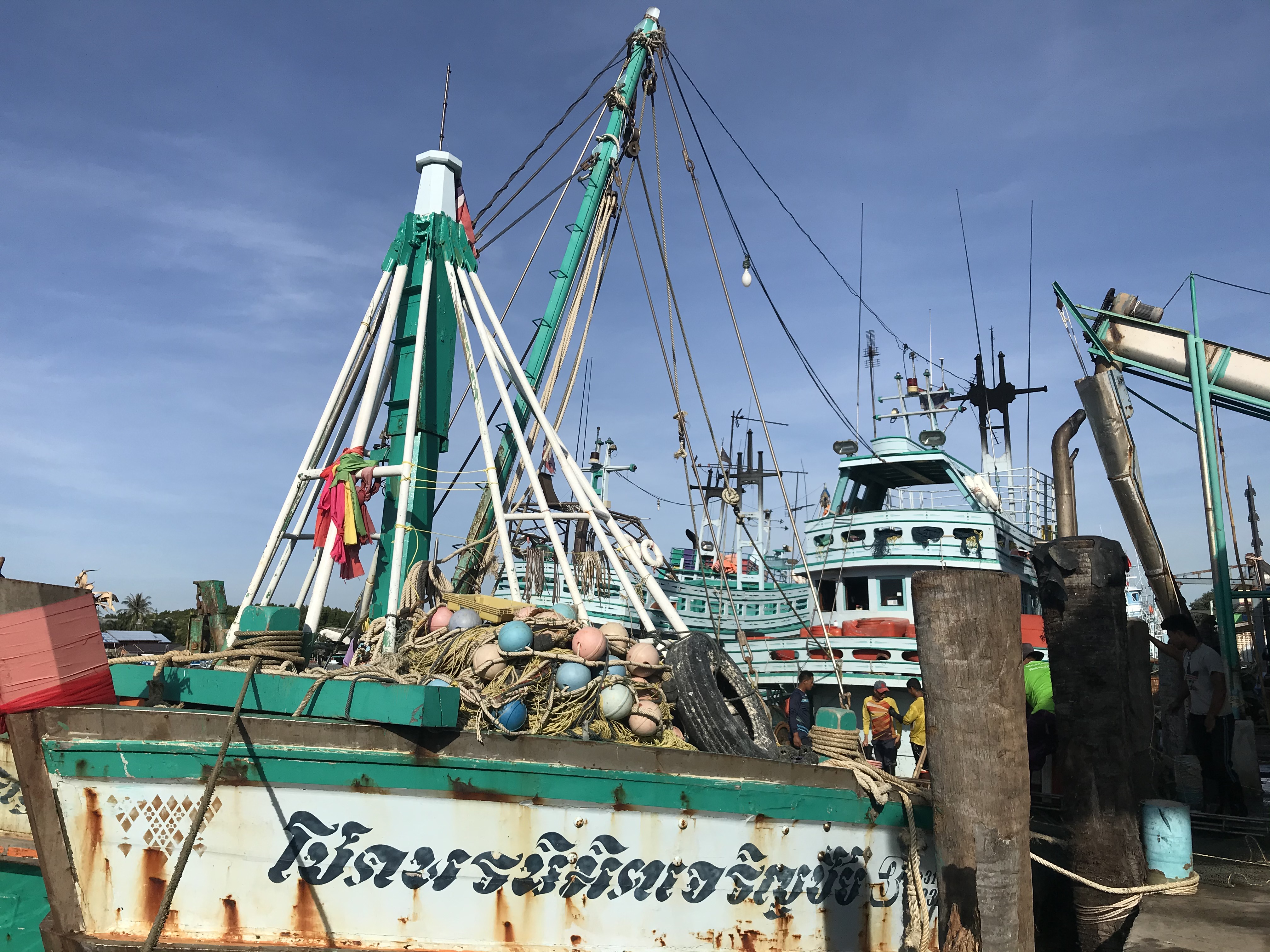 เมื่อวันที่ 21-24 กรกฎาคม พ.ศ. 2563 เจ้าหน้าที่ศูนย์วิจัยและพัฒนาประมงอ่าวไทยตอนล่าง (สงขลา)  เก็บรวบรวมสภาวะการประมงจากเรืออวนลากคู่ ที่แพปลาเอกชน อ.ขนอม  จ.นครศรีธรรมราช ขนาดเรือมากกว่า 60 ตันกรอส  แต่ไม่ถึง 150 ตันกรอส จำนวน 3 ลำ..คลิก