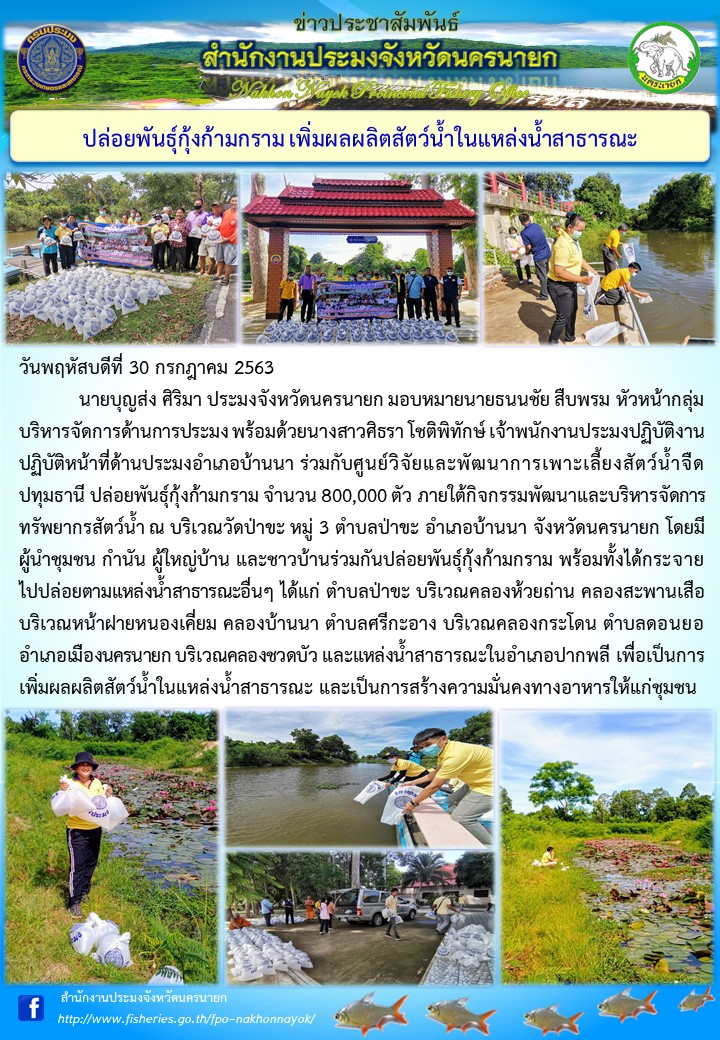ปล่อยพันธุ์กุ้งก้ามกราม เพิ่มผลผลิตสัตว์น้ำในแหล่งน้ำสาธารณะ..คลิก
