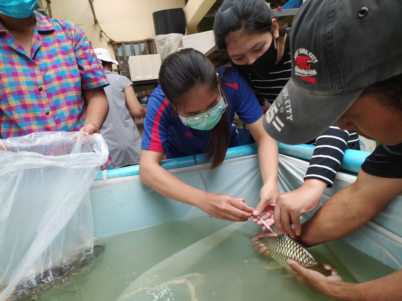 จัดฝึกอบรม หลักสูตร “ส่งเสริมและพัฒนาอาชีพด้านการเพาะเลี้ยงสัตว์น้ำ รุ่นที่ 1”..คลิก