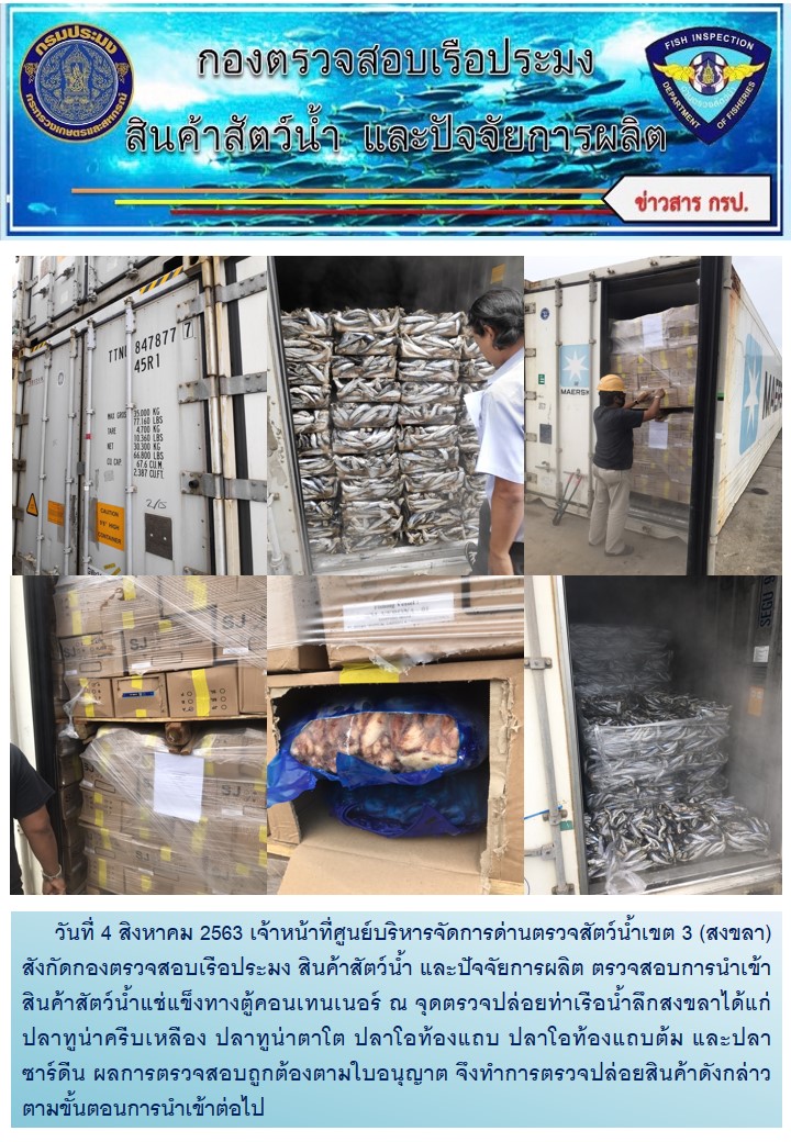 เจ้าหน้าที่ศูนย์บริหารจัดการด่านตรวจสัตว์น้ำเขต 3 (สงขลา) สังกัดกองตรวจสอบเรือประมง สินค้าสัตว์น้ำ และปัจจัยการผลิต ตรวจสอบการนำเข้าสินค้าสัตว์น้ำแช่แข็งทางตู้คอนเทนเนอร์ ณ จุดตรวจปล่อยท่าเรือน้ำลึกสงขลา..คลิก