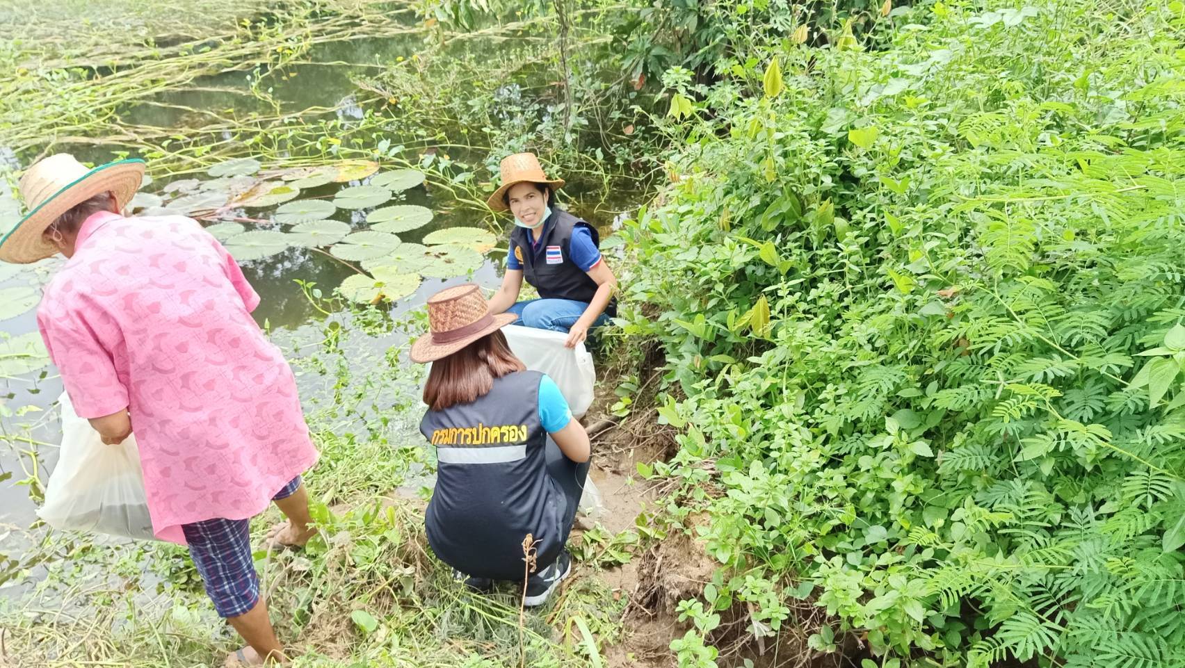 สำนักงานประมงอำเภอเมืองฯ? ส่งมอบพันธุ์ปลากินพืช?เพื่อปล่อยลงแหล่งน้ำในโครงการโรงผัก&โรงครัว? อำเภอเมืองนครศรีธรรมราช? จังหวัดนครศรีธรรมราช