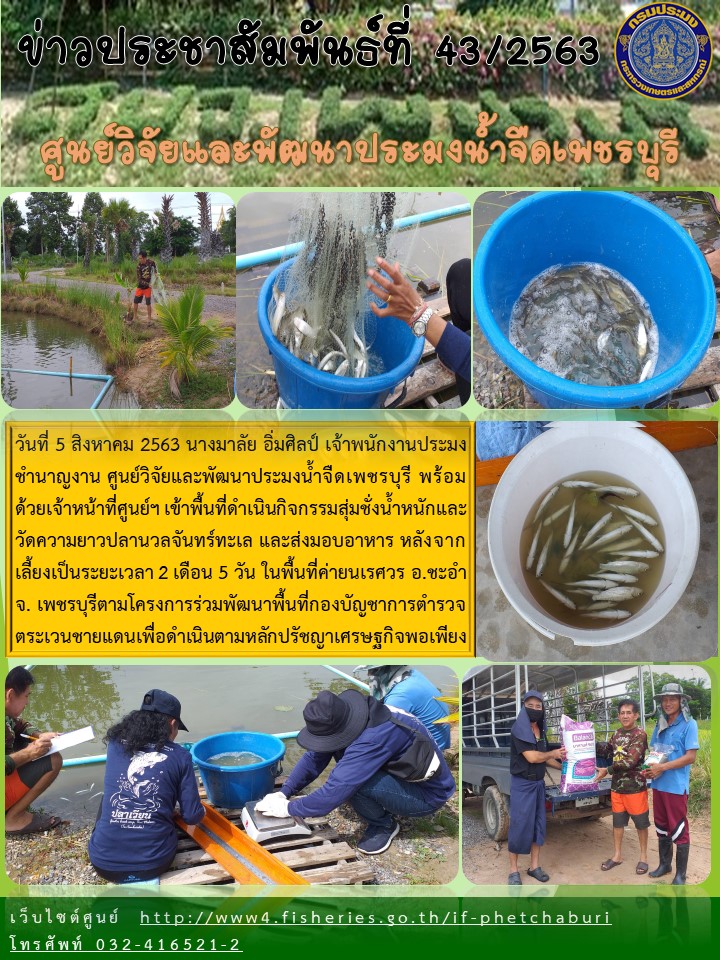 ข่าวประชาสัมพันธ์ครั้งที่ 43/2563