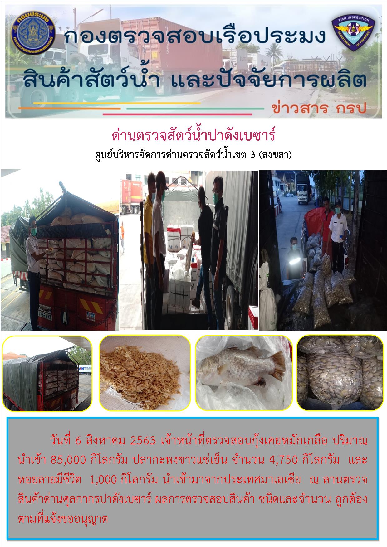 ด่านตรวจสัตว์น้ำปาดังเบซาร์ตรวจสอบสัตว์น้ำนำเข้า..คลิก