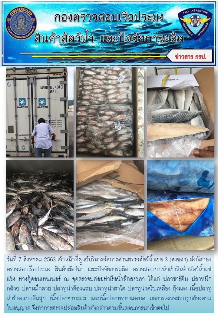 เจ้าหน้าที่ศูนย์บริหารจัดการด่านตรวจสัตว์น้ำเขต 3 (สงขลา)  สังกัดกองตรวจสอบเรือประมง สินค้าสัตว์น้ำ และปัจจัยการผลิต  ตรวจสอบการนำเข้าสินค้าสัตว์น้ำประเภทตู้คอนเทนเนอร์ ณ จุดตรวจปล่อยท่าเรือน้ำลึกสงขลา..คลิก