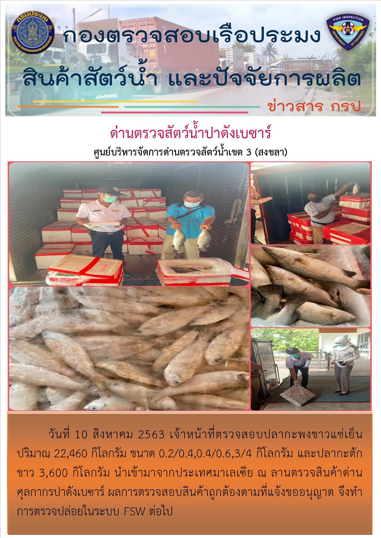 ด่านตรวจสัตว์น้ำปาดังเบซาร์ตรวจสอบสัตว์น้ำนำเข้า..คลิก