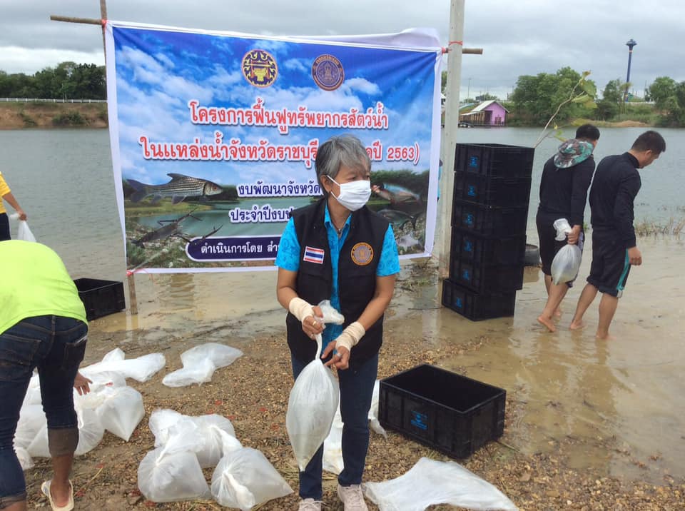จัดกิจกรรมปล่อยพันธุ์สัตว์น้ำ ตามโครงการฟื้นฟูทรัพยากรสัตว์น้ำในแหล่งน้ำจังหวัดราชบุรี (ต่อยอด 2563) งบพัฒนาจังหวัดราชบุรี ปี 2563..คลิก