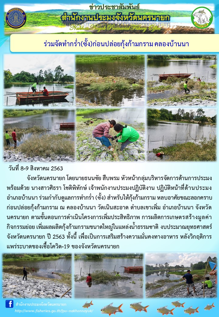 ร่วมจัดทำกร่ำ (ซั้ง) ก่อนปล่อยพันธุ์กุ้งก้ามกราม คลองบ้านนา..คลิก